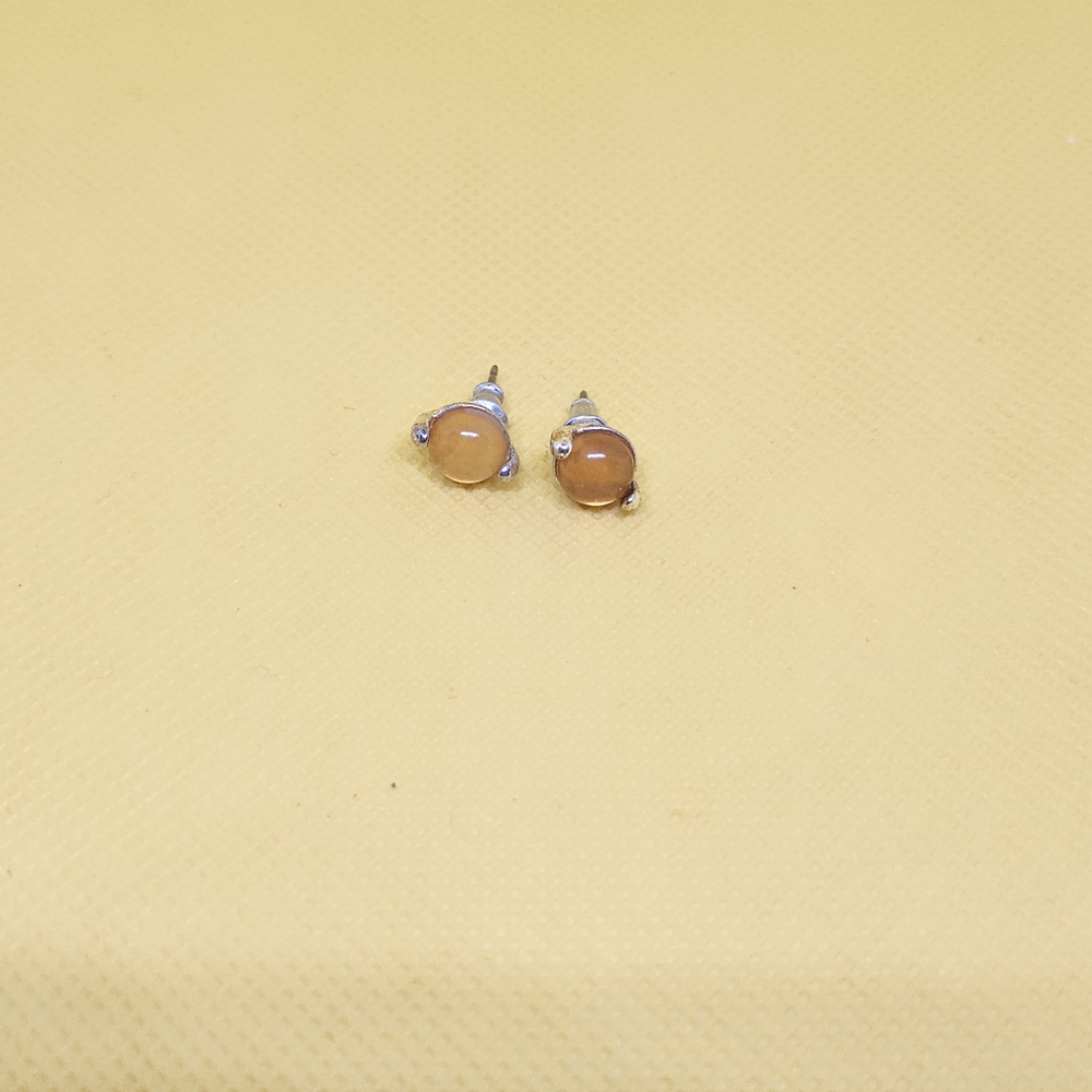 Liz Claiborne Silver and Brown Earrings